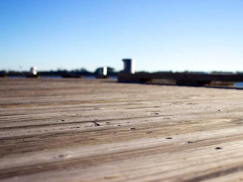 Fénix Vital Software